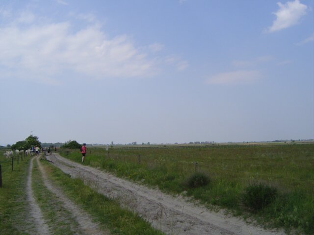 img00020.jpg