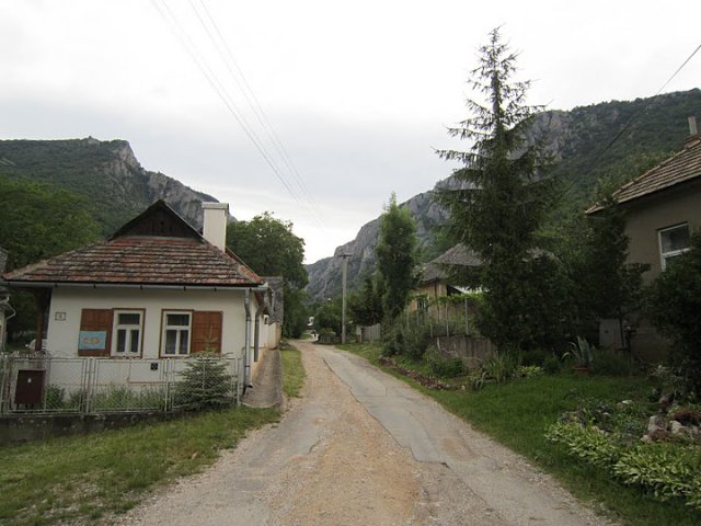 img00020.jpg