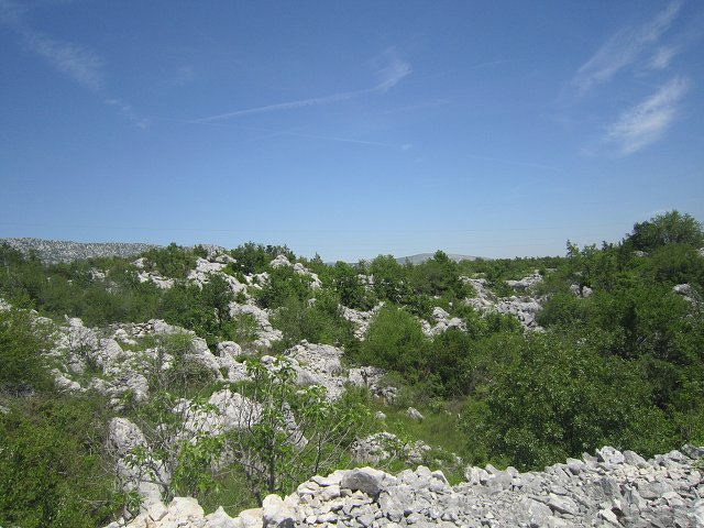 img00020.jpg