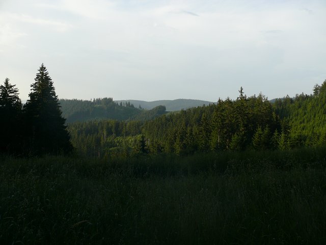 img00077.jpg